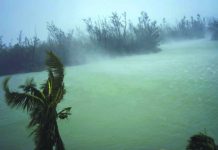 Hurricane Dorian kills at least 5 in Bahamas Strong winds from Hurricane Dorian blow the tops of trees and brush while whisking up water from the surface of a canal that leads to the sea, located behind the brush at top, seen from the balcony of a hotel in Freeport, Grand Bahama, Bahamas, Monday, Sept. 2, 2019. AP