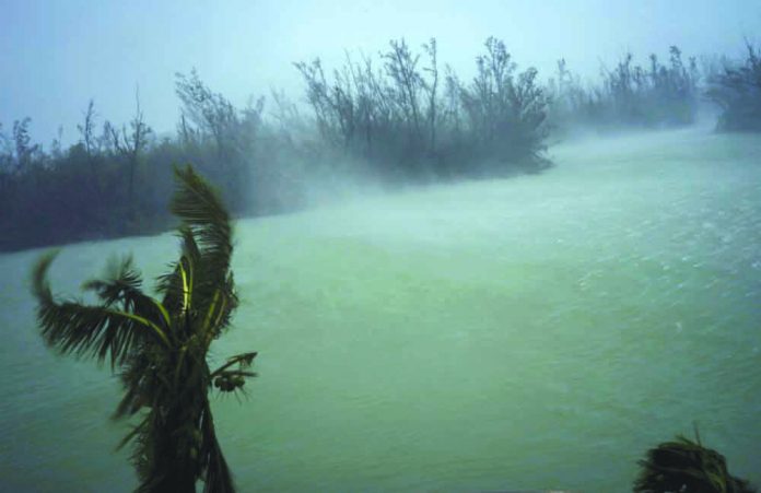 Strong winds from Hurricane Dorian blow the tops of trees and brush while whisking up water from the surface of a canal that leads to the sea, located behind the brush at top, seen from the balcony of a hotel in Freeport, Grand Bahama, Bahamas, Monday, Sept. 2, 2019. AP