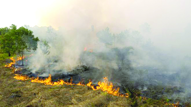 Indonesia Fire Many parts of Indonesia are burning.