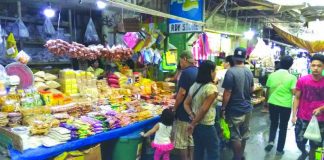 Public markets in Kalibo, Aklan is the center of trade and commerce in the town, catering to both local and foreign tourists. Vice mayor Cynthia Dela Cruz pushes for the rehabilitation of these markets to strengthen link between urban consumers and rural producers. THELONERIDER.COM