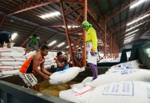 To curb rice price drop, NFA urged to buy more Photo by IAN PAUL CORDERO/PN