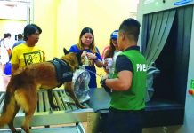 PDEA keeps tight watch on WV seaports The Philippine Drug Enforcement Agency Region 6 deploys K-9 units at Bacolod-Silay International Airport in Silay City, Negros Occidental to seal off possible smuggling points in the Western Visayas. PDEA REGION 6