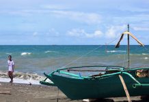 Panay coastal waters safe from red tide – BFAR Photo for representation only. Red tide is used to describe harmful algal bloom that make potent natural toxins and may cause illness in humans and animals. BOY RYAN ZABAL/AKEAN FORUM