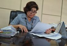 No funds for projects? Go PPP, local gov’ts told NEDA Region 6 Director Ro-Ann Bacal