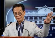 Presidential spokesperson Salvador Panelo