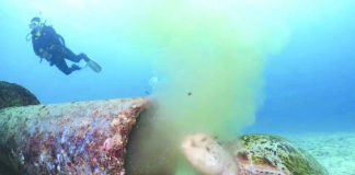 This photo of a sea turtle feeding on filthy, yellowish liquid refuse oozing from an underwater pipe from an establishment on Boracay Island in Malay, Aklan has gone viral on social media. BORACAY WILSON