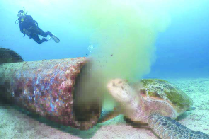 Sea turtle boracay This photo of a sea turtle feeding on filthy, yellowish liquid refuse oozing from an underwater pipe from an establishment on Boracay Island in Malay, Aklan has gone viral on social media. BORACAY WILSON