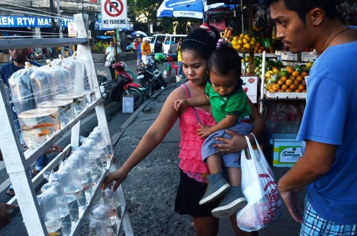 Sidewalk vendor Ledesma Street, Iloilo City Passersby checkout tropical fishes being sold on the sidewalk of Ledesma Street, Iloilo City. Nearby is a sidewalk fruit stand. These and other sidewalk vendors would be removed, according to Mayor Jerry Treñas. IAN PAUL CORDERO/PN