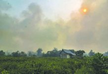 Malaysia, Indonesia shut thousands of schools over forest fires haze Fires belch smog across Southeast Asia annually, but this year’s are the worst since 2015. AFP