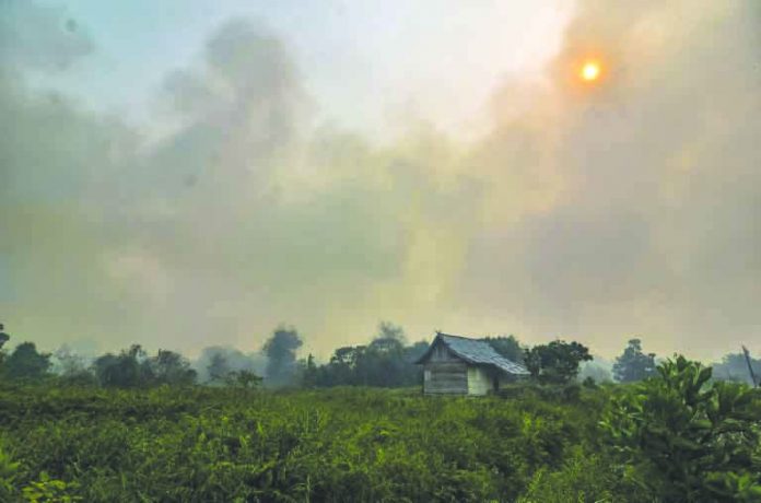 Fires belch smog across Southeast Asia annually, but this year’s are the worst since 2015. AFP