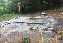 Pa, son burned to death