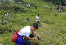 Members of the Antique Amazing Youth plant fruit-bearing tree seedlings in Barangay Tubudan, San Remigio, Antique on Sunday. The project aims to make the province the “fruit basket” of Western Visayas. ANNABEL CONSUELO J. PETINGLAY/PNA