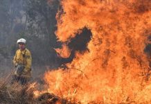 Houses destroyed in Australian bushfires Firefighters have been battling bushfires in Australia for over a month. Recently, at least 30 houses were destroyed or seriously damaged in a bushfire in New South Wales. EPA