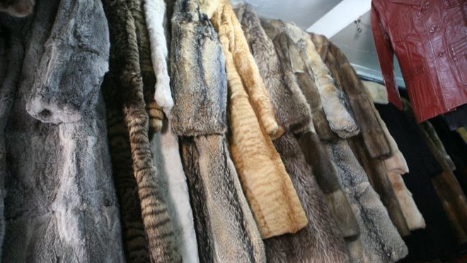 California bans sale, manufacture of fur products Gov. Gavin Newsom signs a pair of bills, banning the manufacture and sale of animal fur and disallowing most animals from circus shows, in California on Saturday. BBC