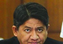 SC suspends ‘Bikoy’ lawyer Gadon over ‘foul’ language