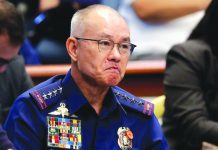 Albayalde to step down as PNP chief ahead of retirement date Former Philippine National Police (PNP) chief General Oscar Albayalde