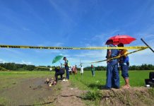 Santa Barbara farmer hacked to death Policemen inspect the body of a farmer found dead in this rice paddy in Santa Barbara, Iloilo on Oct. 9, 2019. IAN PAUL CORDERO/PN