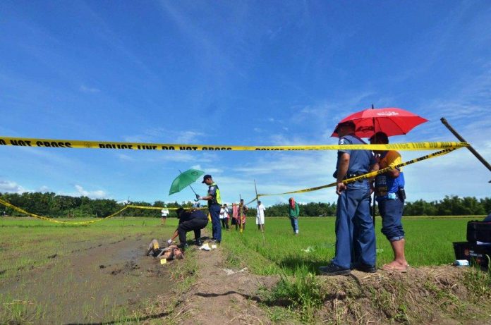 Santa Barbara Hacking Policemen inspect the body of a farmer found dead in this rice paddy in Santa Barbara, Iloilo on Oct. 9, 2019. IAN PAUL CORDERO/PN