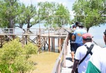 The Suyac Island Mangrove Ecopark of the Sagay Marine Reserve in Negros Occidental is among the four finalists for Best Mangrove Award in the Para El Mar Marine Protected Area Awards and Recognition 2019. I LOVE SAGAY FACEBOOK PAGE