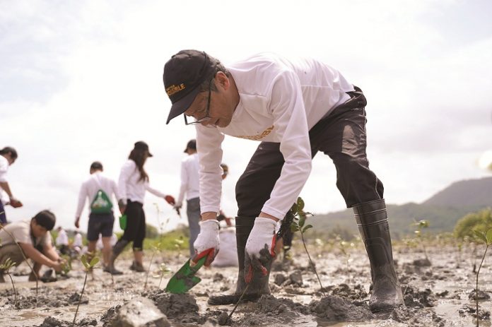 Toyota coastal clean-up, mangrove planting (2) 1,900 volunteers from 35 different locations nationwide plant a total of 40,000 mangrove propagules.