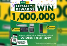 Wilcon Depot rewards 1-M loyalty points