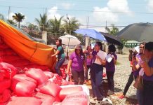 ‘Asin’ task force urged Antique LGUs to monitor salt distributors