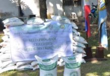 These bags of free certified rice seeds were distributed by the Philippine Rice Research Institute to the farmers of Negros Occidental on Nov. 19 as part of the implementation of the Rice Competitiveness Enhancement Fund. PIO NEGROS OCCIDENTAL