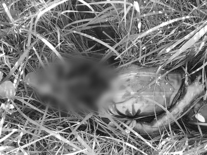 Arjay Espinase Residents discover the decomposing body Arjay Espinase in a grassy area along the road in Barangay Taculing, Bacolod City on Nov. 27. BCPO/POLICE STATION 6