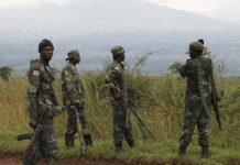 Congolese forces kill 25 Islamist rebels Congolese forces said on Saturday they killed 25 Islamist rebels while seven soldiers from the Democratic Republic of Congo were also killed since the campaign to root out the Allied Democratic Forces militia began late last month. REUTERS