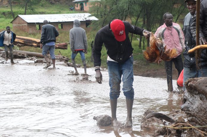 Death toll from Kenya landslides rises to 56 A man holds a hen as people wade in flood waters in the village of Sebit, West Pokot County, Kenya on Nov. 24. REUTERS/STRINGER/NO RESALES. NO ARCHIVES.