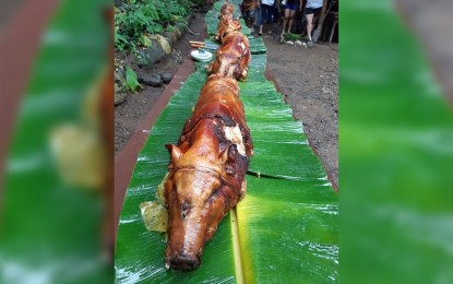 Lechon The native lechon (roasted pig) in Antique will be featured in “Kain Na! Culinary and Travel Festival” slated next month in Iloilo City. Last Oct. 27, the province was launched as the “Native Lechon Capital” of the Philippines.” PNA/ANNABEL CONSUELO J. PETINGLAY
