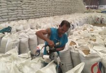 NFA: No rice shortage in Iloilo, Guimaras Sacks of the National Food Authority palay stored in NFA warehouse. The NFA in Iloilo has purchased 358,000 bags of palay for October this year. NFA-ILOILO