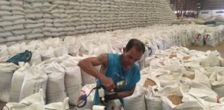 Sacks of the National Food Authority palay stored in NFA warehouse. The NFA in Iloilo has purchased 358,000 bags of palay for October this year. NFA-ILOILO