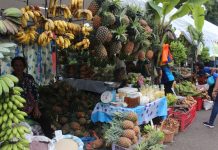 Negros farmers earn P1.3M in 4-day organic trade fair Various organic products are displayed during the 14th Negros Island Organic Farmers Festival in Bacolod City on Nov. 20 to 23. Around 85 Negros farmers and farming associations have joined in the festivity. ARCHIE ALIPALO/PN