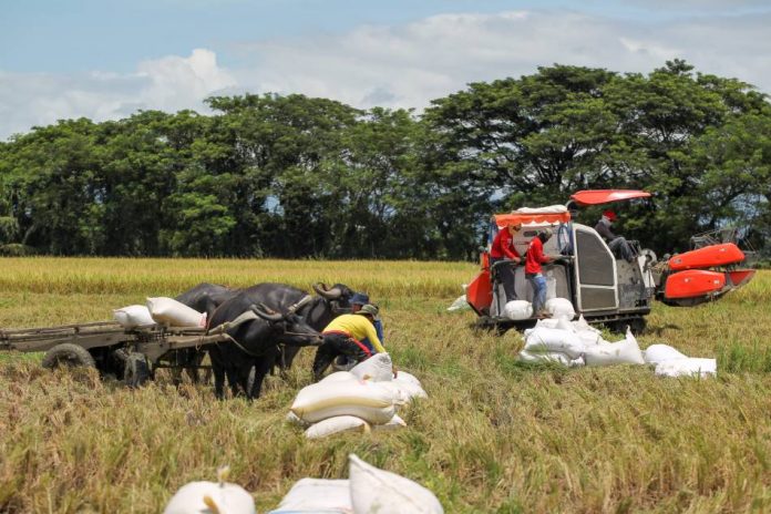 Philippine agricultural sector The Philippine agricultural sector posts growth at an annual pace of 2.87 percent in the third quarter, recovering from 1.3 percent contraction in the June quarter. ABS-CBN News