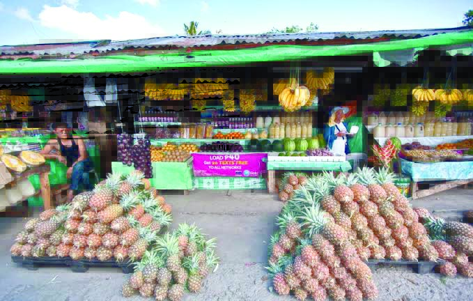 Philippines Products Philippines is seeking more access for its agricultural products to the United States as American firms eye the establishment of biofuel facilities in the country. JUNBELEN.COM