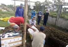 Personnel of the Iloilo Provincial Veterinary Office bury in Barangay Inaladan, Cabatuan, Iloilo boxes of imported canned pork confiscated at the Iloilo Airport. The items were from African swine fever-hit areas of Hong Kong and Singapore. African swine fever is a highly contagious viral disease that affects pigs, warthogs and boars. It is not considered a human health threat. However, humans can become carriers of the virus once tainted pork is ingested or if people get close to the infected meat. PHOTOS BY DR. DAREL TABUADA