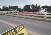‘NPA vandalism an act of desperation’ PN Photo