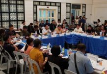 Members of the Regional Peace and Order Council in Western Visayas gather for a meeting on Dec. 12. DENR WESTERN VISAYAS