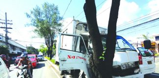 The front of this truck sustained heavy damage after crashing into a tree along General Luna Street, City Proper on Wednesday. IAN PAUL CORDERO/PN