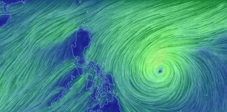 Office of Civil Defense Region 6 director Jose Roberto Nuñez says the public should remain prepared for typhoon Tisoy, although it will not directly hit Western Visayas. Screencapture from earth.nullschool.net