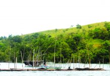 W. Visayas coastal waters still red-tide free The Bureau of Fisheries and Aquatic Resources Coastal recently declared coastal waters in Western Visayas as redtide free. Red tide is a phenomenon caused by an explosive growth and accumulation of certain microscopic algae, predominantly dinoflagellates, in coastal waters. AKEAN FORUM