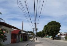 Antique power coop needs P17M to remove 200 electric posts