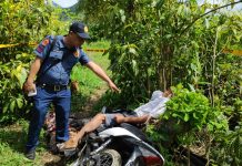 Murcia man shot dead A police officer points at Alejandro Panganiban who was found lifeless with a gunshot wound on the body in Barangay Caliban, Murcia, Negros Occidental on Jan. 2. CCTO