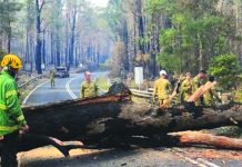 Firefighters clearing a road in Victoria. DARREN CHESTER/TWITTER.COM