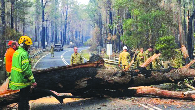 Firefighters clearing a road in Victoria. DARREN CHESTER/TWITTER.COM