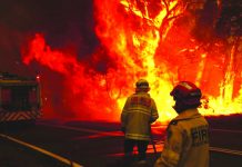 Ilonggos help Australian bush fire victims At least 24 people have been killed as bushfires burned more than 12 million acres of land in Australia. TIME.COM