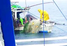 BFAR-6 moves to enforce ban on fine-mesh nets, warns of worsening fish stock decline This undated photo taken by the Iloilo Provincial Bantay Dagat Task Force catches fishermen using the prohibited ring net in northern Iloilo’s waters. A ring net is a surrounding net the form of which is intermediate hybrid between a purse seine and a lampara net: like on a purse seine, rings at the lower edge of the net allow using a purse line to close it under the fish (pursing) and like on a lampara net, there is a central bunt (with smaller mesh) in which the capture concentrates as the two wings are hauled together and the leadline being shorter than the floatline give somehow a spoon-shape as in lamapara net. ILOILO PROVINCIAL BANTAY DAGAT PHOTO
