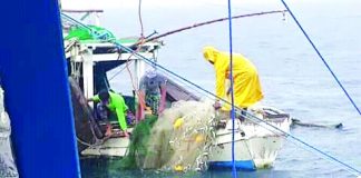 This undated photo taken by the Iloilo Provincial Bantay Dagat Task Force catches fishermen using the prohibited ring net in northern Iloilo’s waters. A ring net is a surrounding net the form of which is intermediate hybrid between a purse seine and a lampara net: like on a purse seine, rings at the lower edge of the net allow using a purse line to close it under the fish (pursing) and like on a lampara net, there is a central bunt (with smaller mesh) in which the capture concentrates as the two wings are hauled together and the leadline being shorter than the floatline give somehow a spoon-shape as in lamapara net. ILOILO PROVINCIAL BANTAY DAGAT PHOTO