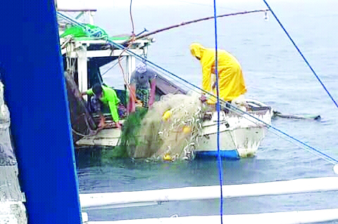 This undated photo taken by the Iloilo Provincial Bantay Dagat Task Force catches fishermen using the prohibited ring net in northern Iloilo’s waters. A ring net is a surrounding net the form of which is intermediate hybrid between a purse seine and a lampara net: like on a purse seine, rings at the lower edge of the net allow using a purse line to close it under the fish (pursing) and like on a lampara net, there is a central bunt (with smaller mesh) in which the capture concentrates as the two wings are hauled together and the leadline being shorter than the floatline give somehow a spoon-shape as in lamapara net. ILOILO PROVINCIAL BANTAY DAGAT PHOTO